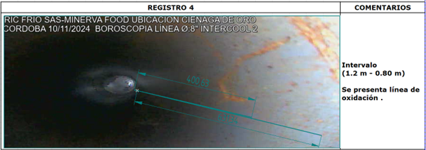 Inspección visual remota